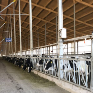 hvls fan for dairy farmer-1