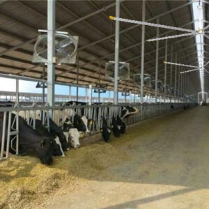 PMSM hvls fan for dairy farmer